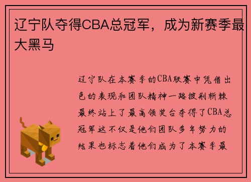 辽宁队夺得CBA总冠军，成为新赛季最大黑马